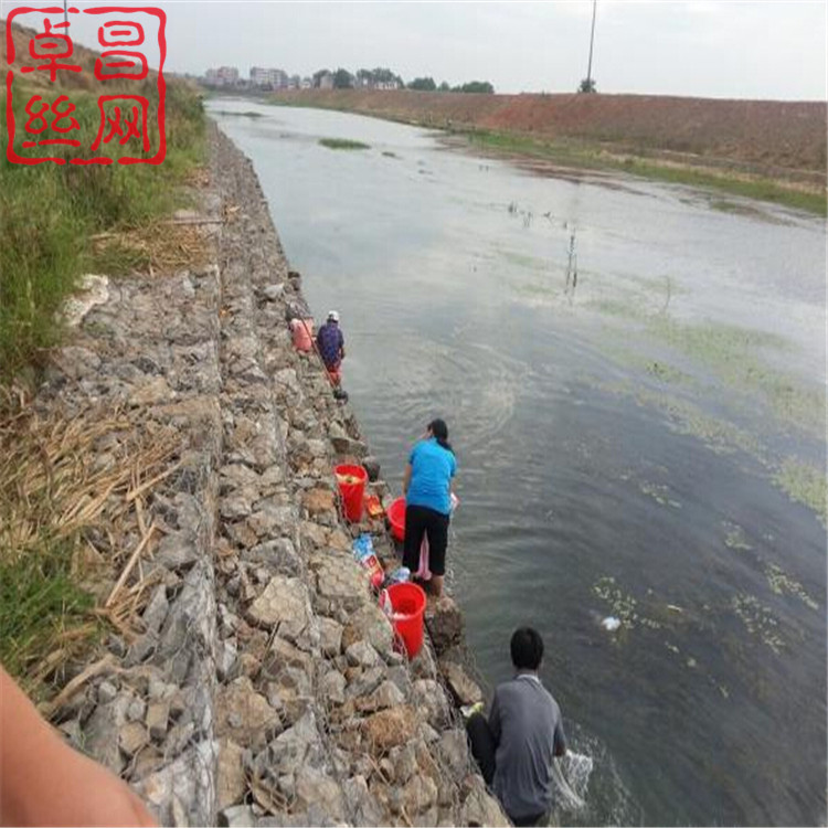 1661736422984085734.jpg 1266.jpg