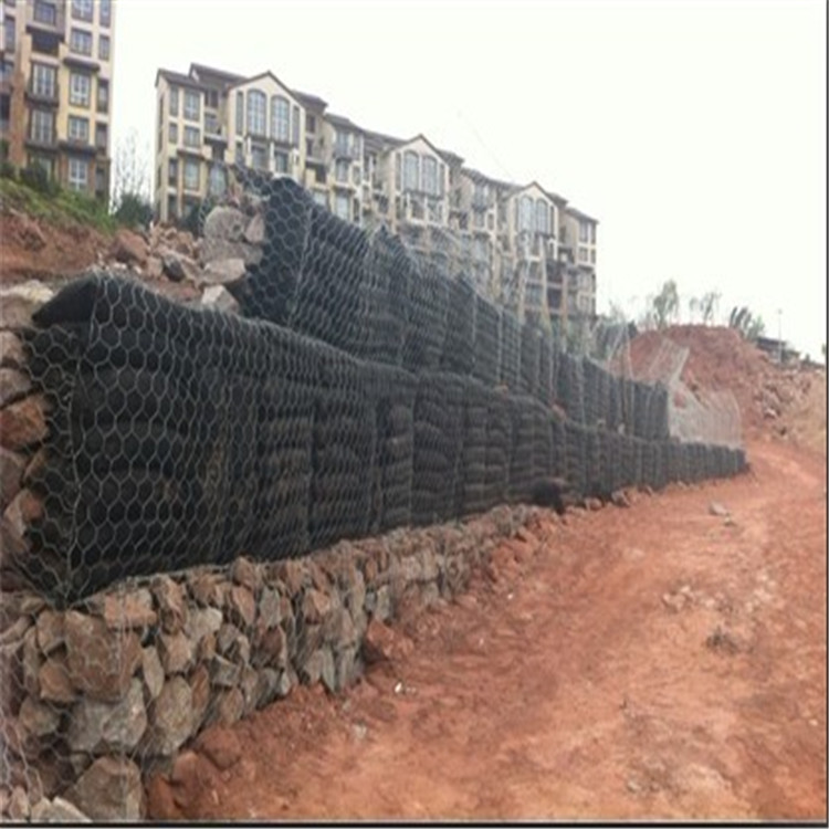 1693706530629036368.jpg 卓昌 (302).jpg