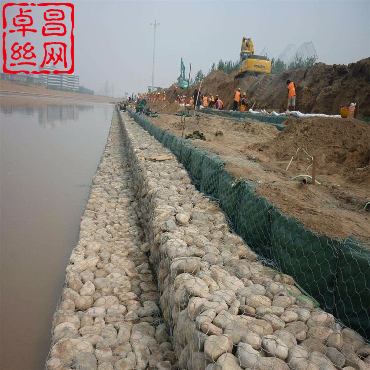 1693792840516053753.jpg 43-1.jpg