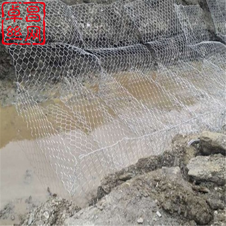 1694052543923027179.jpg 85.jpg