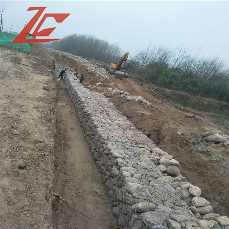 1694221892131027021.jpg 1543-50.jpg